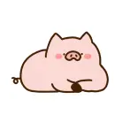 pig
