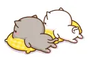 cats