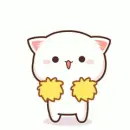 cheerleader cat
