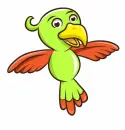 cockatoo