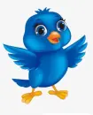 blue bird