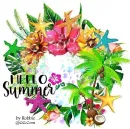 Hello Summer -by Robbie