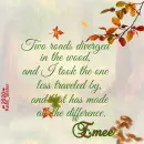 Emee(Mel) Leaves - Fall - Road