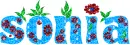 Sonia - flowers