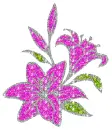 lilies