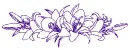 lilies