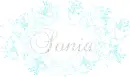 Sonia - lilies
