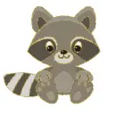 raccoon