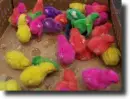 Colored chicks