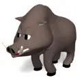 boar