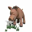 boar