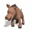 boar