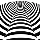 black-white optical