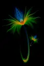 multicolored