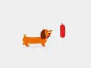 dachshund