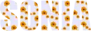 Sonia - flowers