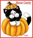 Meow Candy