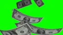 money fall