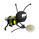 wasp