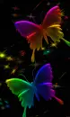 color change butterfly
