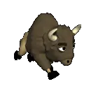 bison