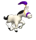 circus