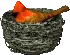 cardinal