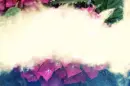 hydrangea