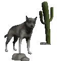 wolf