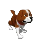 St. Bernard dog