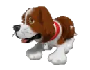 St. Bernard dog