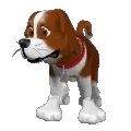 St. Bernard dog