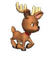 deer