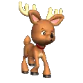 deer
