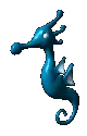 seahorse