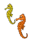 seahorses
