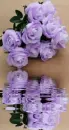 purple rosas