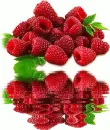 raspberry