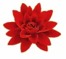 red flower