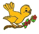 Yellow bird
