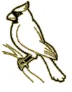 cardinal