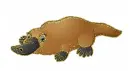 Platypus