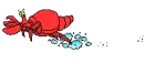 red crab running