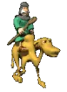 camel