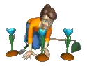 flower planting