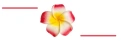 plumeria