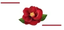 red flower