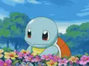 turtle with flower