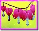Dicentra