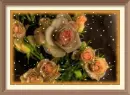 orange rosas